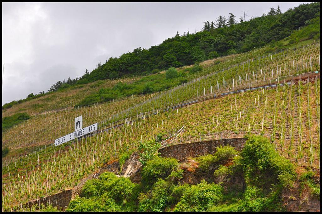 Pension Adelheid Moselhype&Wine Zell an der Mosel Exterior foto