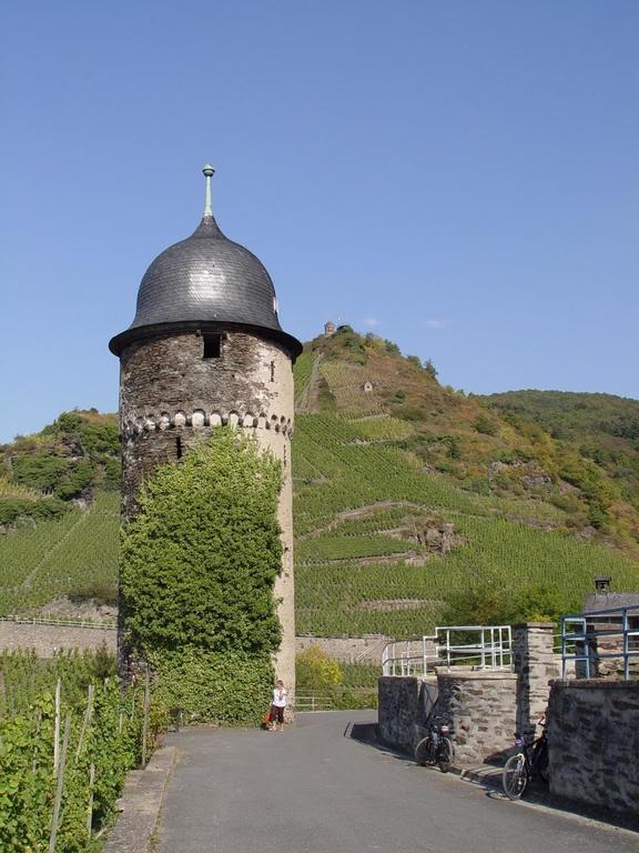 Pension Adelheid Moselhype&Wine Zell an der Mosel Exterior foto