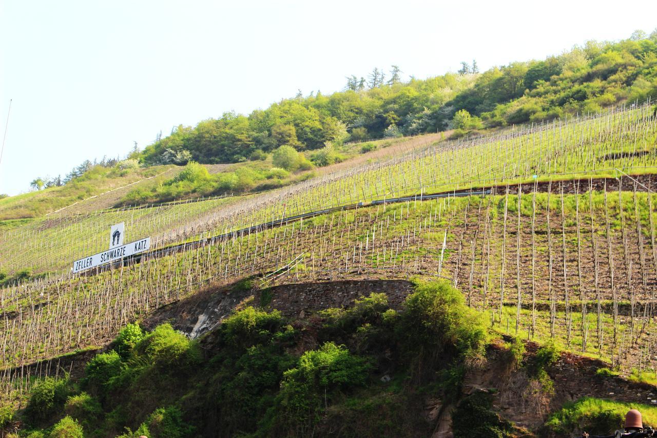 Pension Adelheid Moselhype&Wine Zell an der Mosel Exterior foto